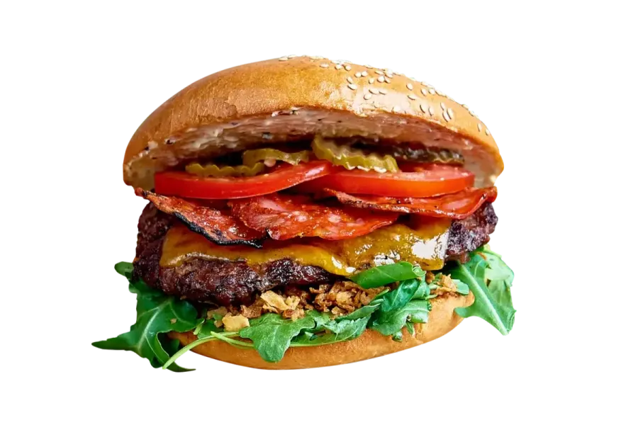 CRISPY BURGER