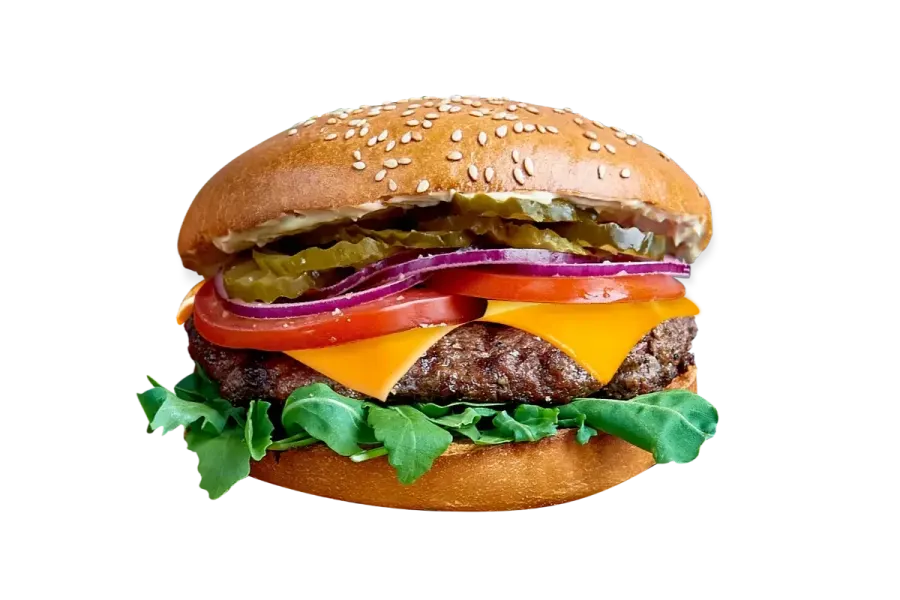 SER BURGER