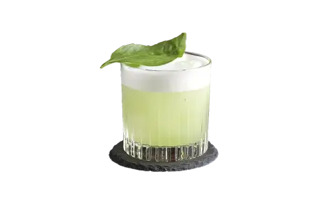 Gin Basil